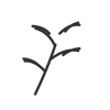 Woody botanicals icon