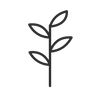 Herbal botanical blend icon