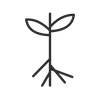 Deep roots icon