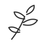 Earthy woods icon